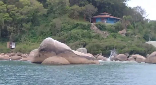 Lote/Terreno à venda, 10000m² no Ponta das Canas, Florianópolis