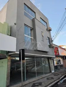 Sala Comercial para alugar, 460m² no Centro, Marília