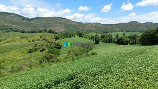 Fazenda/Sítio com 1 Quarto à venda, 96m² no Amadeu Miguel, Três Corações
