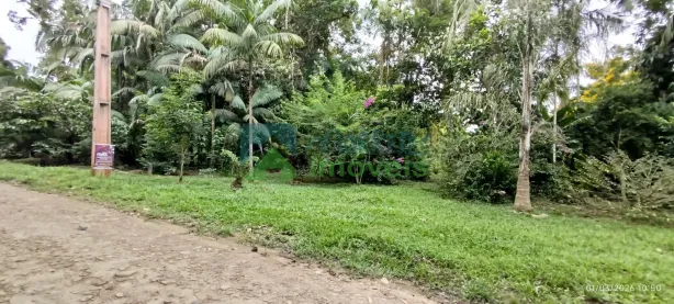 Lote/Terreno à venda, 1358m² no Morretes, Morretes