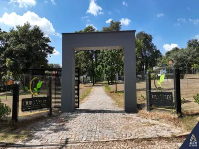 Casa de Condomínio com 5 Quartos à venda, 650m² no , Esmeraldas