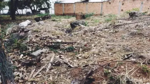 Lote/Terreno para alugar, 1037m² no Castelo, Belo Horizonte