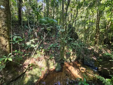 Lote/Terreno à venda, 23000m² no Centro, Juquitiba