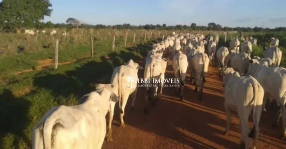 Fazenda/Sítio à venda, 7744000m² no Belmonte, Belmonte