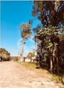 Lote/Terreno à venda, 1036m² no Santo Antão, Bento Gonçalves