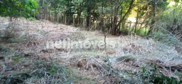 Fazenda/Sítio à venda, 4800m² no Itatiaia, São Joaquim de Bicas