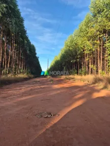 Fazenda/Sítio com 1 Quarto à venda, 2000m² no , Lassance