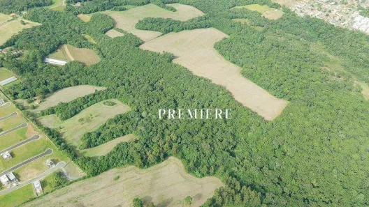 Lote/Terreno à venda, 96800m² no Botiatuva, Campo Largo