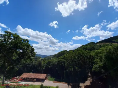 Fazenda/Sítio com 3 Quartos à venda, 100m² no Pinhal Alto, Nova Petrópolis