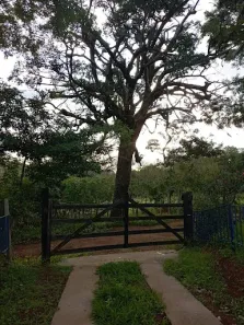 Fazenda/Sítio com 3 Quartos à venda, 200m² no , Itaguara