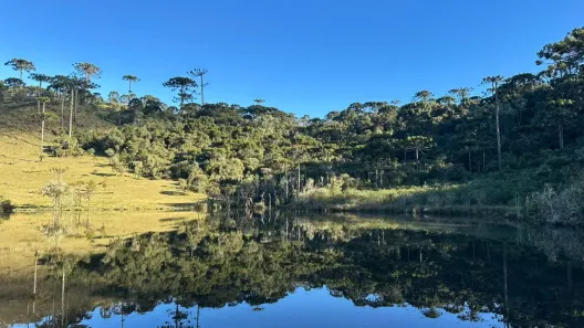 Fazenda/Sítio à venda, 30000m² no , Urubici