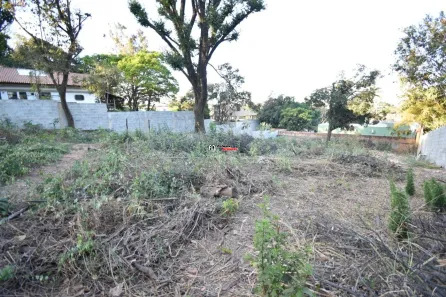 Lote/Terreno para alugar, 1000m² no Jardim Atlântico, Belo Horizonte