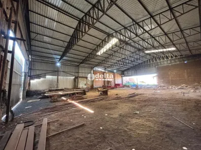 Ponto Comercial para alugar, 800m² no Tubalina, Uberlândia