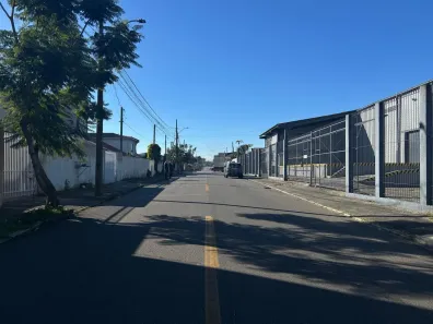 Galpão/Depósito/Armazém para alugar, 1200m² no Águas Belas, São José dos Pinhais