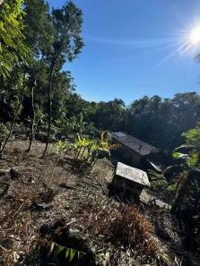 Fazenda/Sítio à venda, 81000m² no Guaratuba, Guaratuba