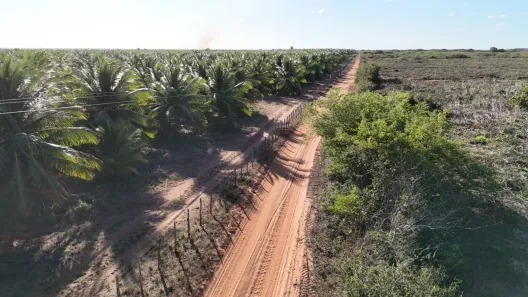 Fazenda/Sítio com 3 Quartos à venda, 30000000m² no , Pureza