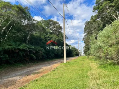 Lote/Terreno à venda, 4210m² no Centro, São Francisco de Paula