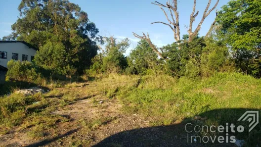 Lote/Terreno para venda ou aluguel, 1875m² no Chapada, Ponta Grossa