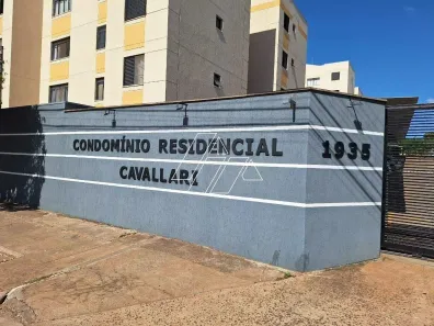 Apartamento com 2 Quartos para alugar, 45m² no Jardim Cavallari, Marília