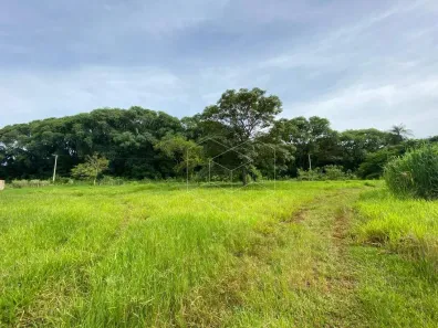 Fazenda/Sítio com 2 Quartos à venda, 470m² no Pouso Alegre de Baixo, Jaú