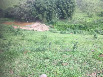 Fazenda/Sítio à venda, 2700m² no São Gonçalo do Brandão, Conselheiro Lafaiete