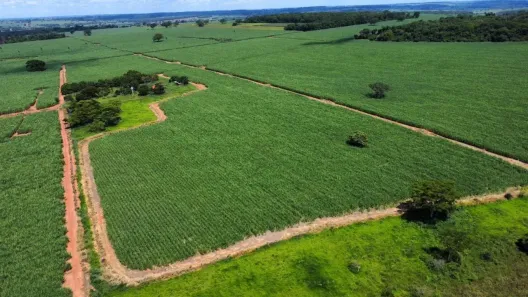 Fazenda/Sítio com 2 Quartos à venda, 762300m² no Jardim Rosa Amarela, Fernandópolis