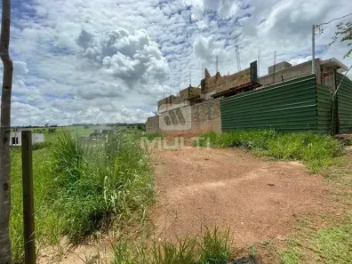 Lote/Terreno com 1 Quarto à venda, 317m² no Granja Marileusa, Uberlândia