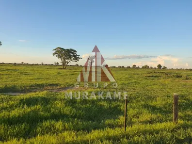 Lote/Terreno à venda, 15000m² no , Rio Negro