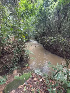 Fazenda/Sítio com 1 Quarto à venda, 60m² no Estância Vargem Bonita, Senador Canedo