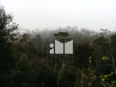 Fazenda/Sítio com 3 Quartos à venda, 40000m² no , Alfredo Chaves