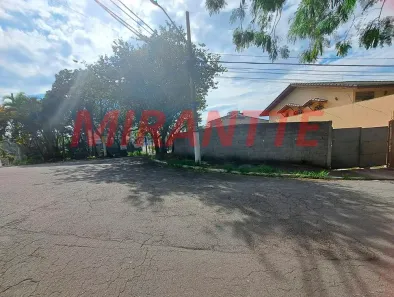 Lote/Terreno à venda, 325m² no Jardim Guapira, São Paulo