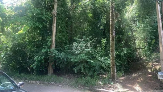 Lote/Terreno à venda, 1000m² no Siriúba, Ilhabela