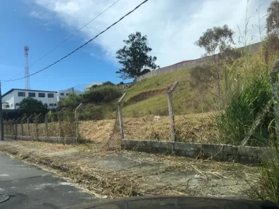 Imóvel Comercial à venda, 4387m² no Vila Suissa, Mogi das Cruzes