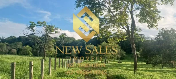 Fazenda/Sítio com 3 Quartos à venda, 96800m² no , Avelinópolis