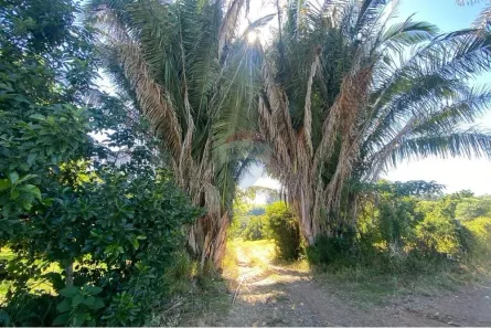 Fazenda/Sítio com 8 Quartos à venda, 150m² no Campinho, Bragança Paulista