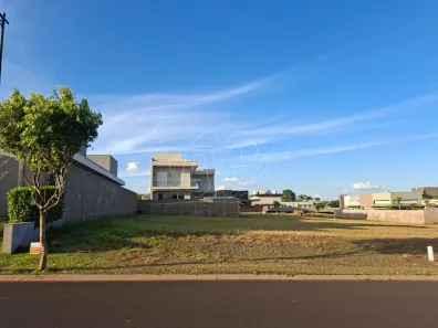 Lote/Terreno à venda, 445m² no Parque Residencial Vale do Sol, Araraquara