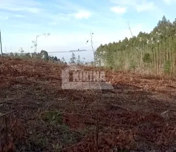 Fazenda/Sítio à venda, 32000m² no , Tibagi
