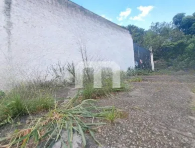 Lote/Terreno para alugar, 291m² no Vila Mafra, São Paulo