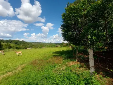 Fazenda/Sítio com 3 Quartos à venda, 26820m² no , Abadiânia