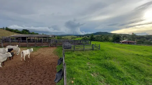 Fazenda/Sítio à venda, 13720000m² no , Nova Brasilândia