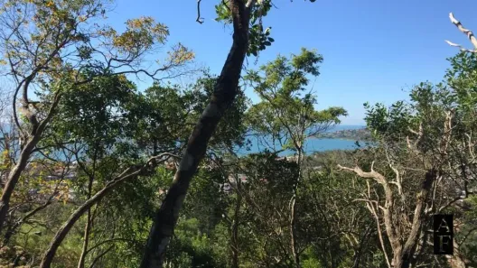 Lote/Terreno à venda, 4952m² no Ferraz, Garopaba