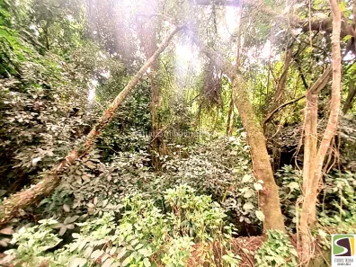 Lote/Terreno à venda, 5028m² no Furnas, Ilhabela