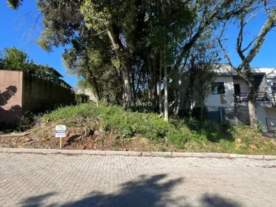 Lote/Terreno à venda, 525m² no Vista Alegre, Ivoti