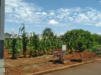 Lote/Terreno à venda, 348m² no Marialva, Marialva