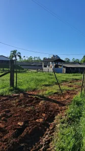 Fazenda/Sítio com 6 Quartos à venda, 6500m² no Centro, Siderópolis