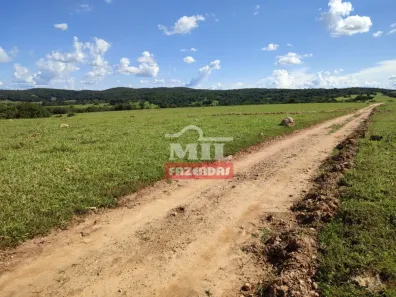 Fazenda/Sítio à venda, 1m² no , Uruana