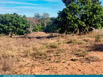 Lote/Terreno com 1 Quarto à venda, 3m² no , Jussara