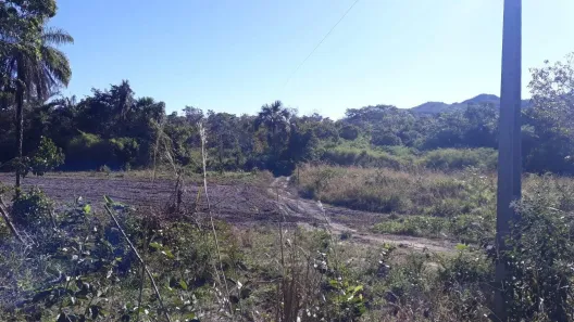 Fazenda/Sítio com 1 Quarto à venda, 5808000m² no Centro, Almas