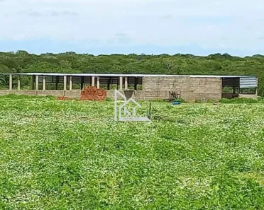 Fazenda/Sítio com 1 Quarto à venda, 3000000m² no , Jandaíra