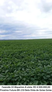 Lote/Terreno à venda, 10m² no Setor Central, Bela Vista de Goiás